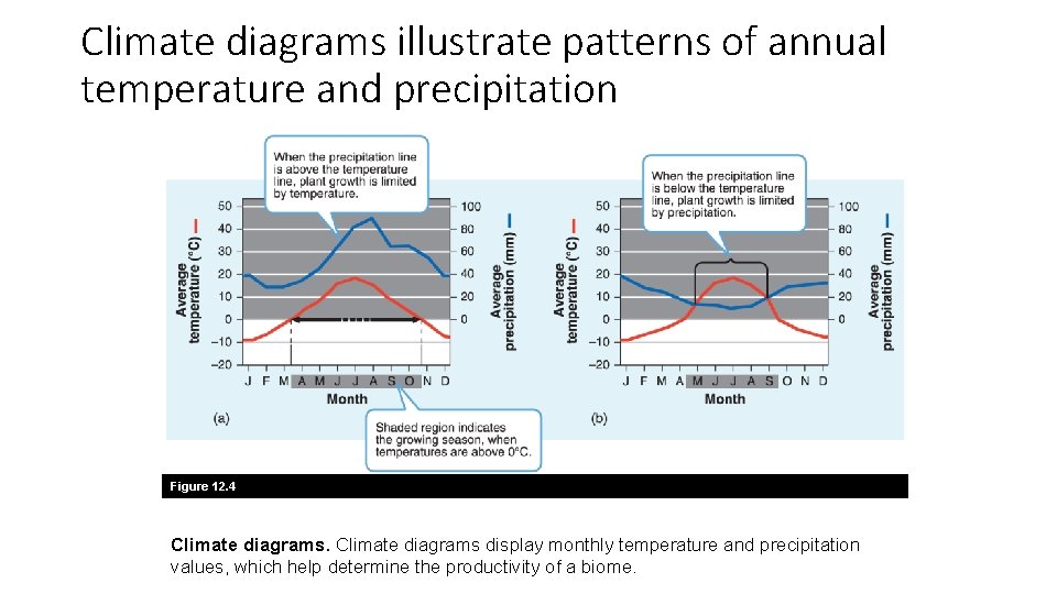 Climate diagrams illustrate patterns of annual temperature and precipitation Figure 12. 4 Climate diagrams
