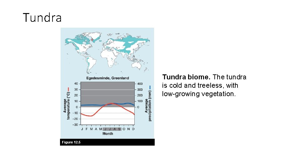 Tundra biome. The tundra is cold and treeless, with low-growing vegetation. Figure 12. 5