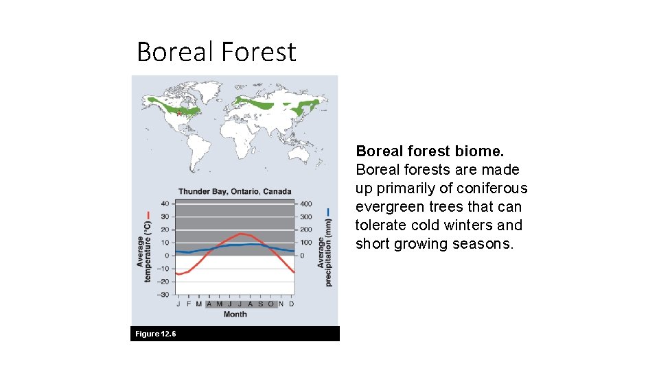 Boreal Forest Boreal forest biome. Boreal forests are made up primarily of coniferous evergreen
