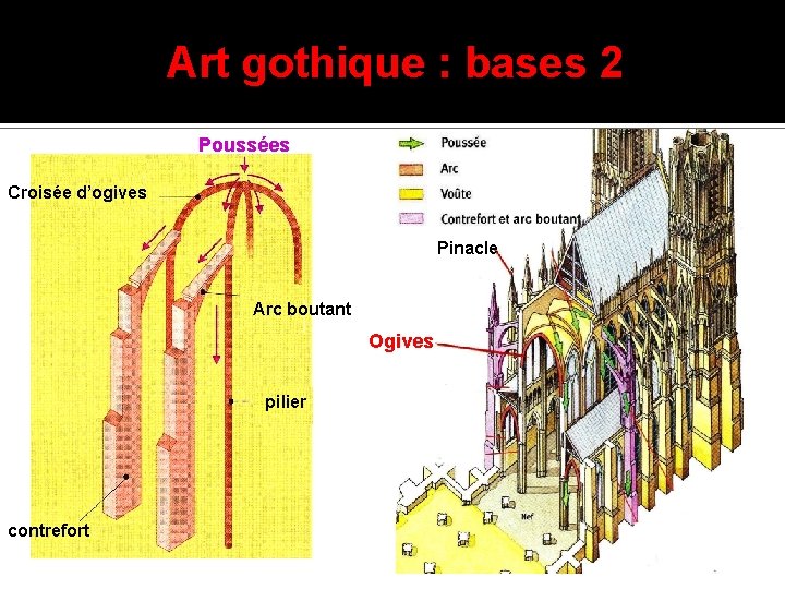Art gothique : bases 2 Poussées Croisée d’ogives Pinacle Arc boutant Ogives pilier contrefort