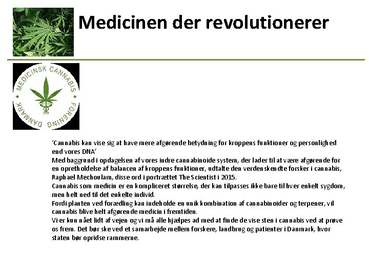 Medicinen der revolutionerer ‘Cannabis kan vise sig at have mere afgørende betydning for kroppens