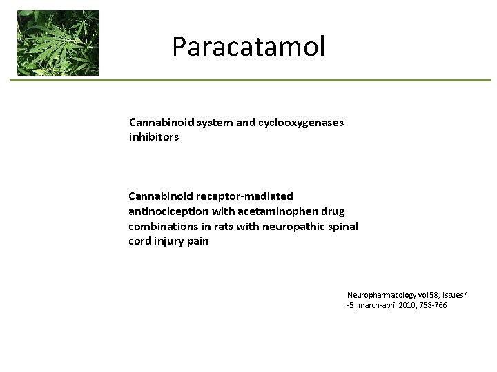 Paracatamol Cannabinoid system and cyclooxygenases inhibitors Cannabinoid receptor-mediated antinociception with acetaminophen drug combinations in