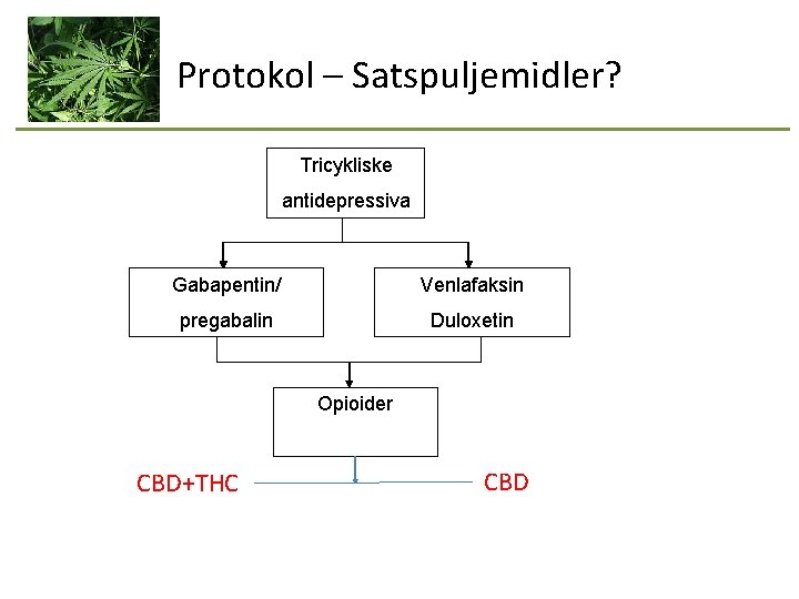 Protokol – Satspuljemidler? Tricykliske antidepressiva Gabapentin/ Venlafaksin pregabalin Duloxetin Opioider CBD+THC CBD 