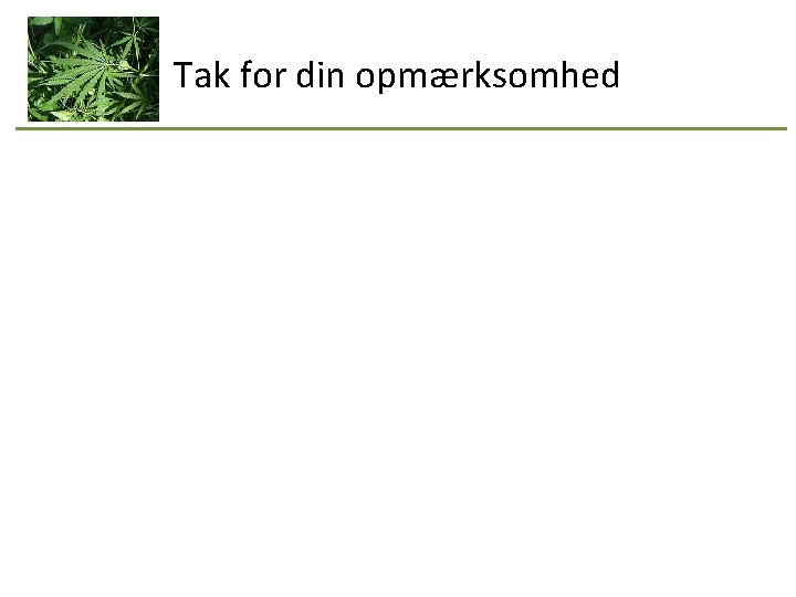 Tak for din opmærksomhed 