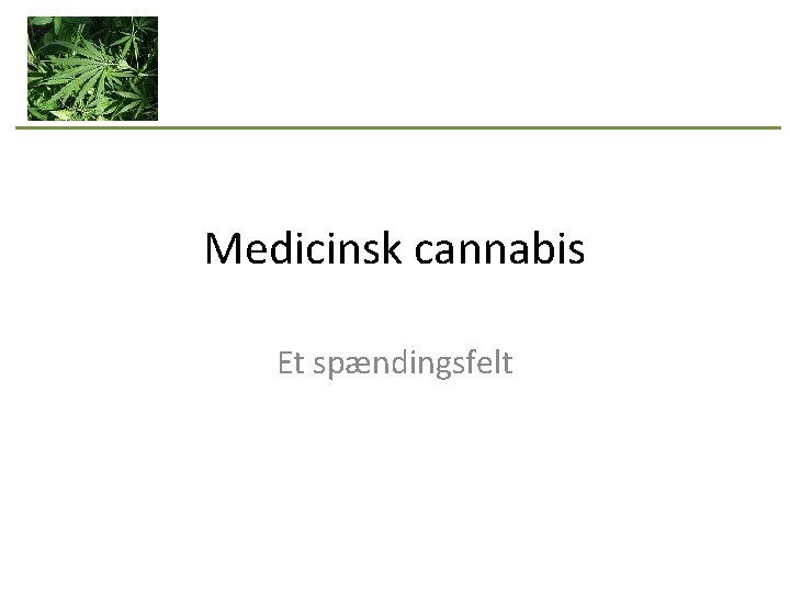 Medicinsk cannabis Et spændingsfelt 