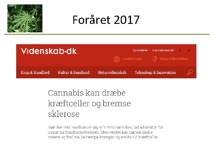 Foråret 2017 