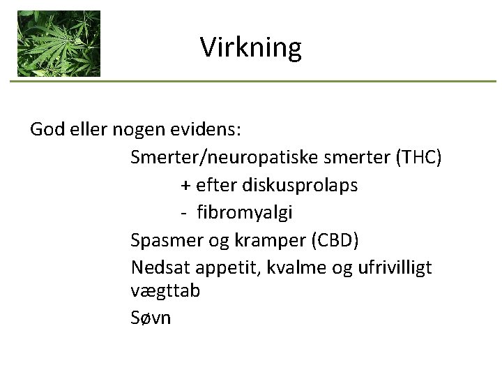 Virkning God eller nogen evidens: Smerter/neuropatiske smerter (THC) + efter diskusprolaps - fibromyalgi Spasmer