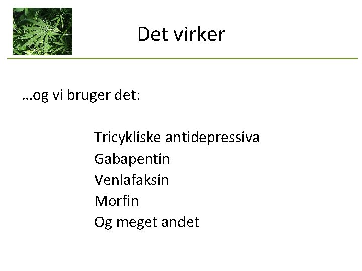 Det virker …og vi bruger det: Tricykliske antidepressiva Gabapentin Venlafaksin Morfin Og meget andet