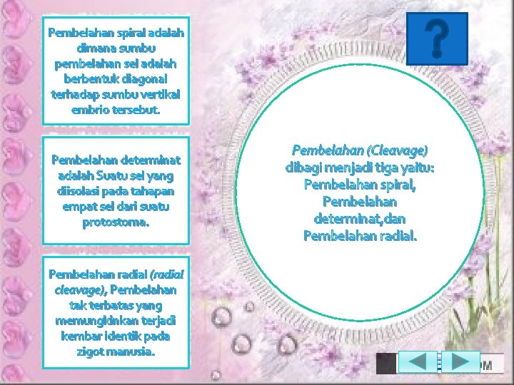 Pembelahan spiral adalah dimana sumbu pembelahan sel adalah berbentuk diagonal terhadap sumbu vertikal embrio