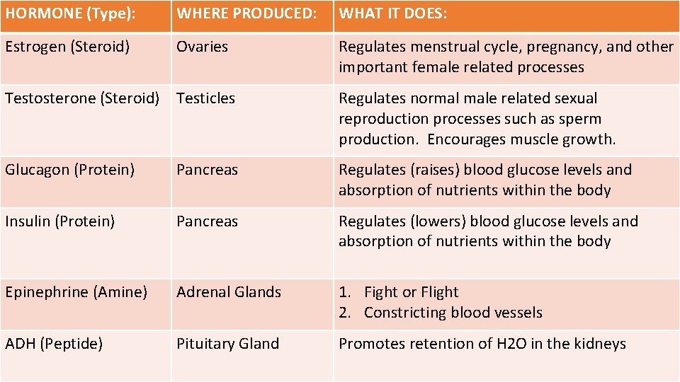HORMONE (Type): WHERE PRODUCED: WHAT IT DOES: Estrogen (Steroid) Ovaries Regulates menstrual cycle, pregnancy,
