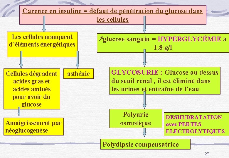 Carence en insuline = défaut de pénétration du glucose dans les cellules Les cellules