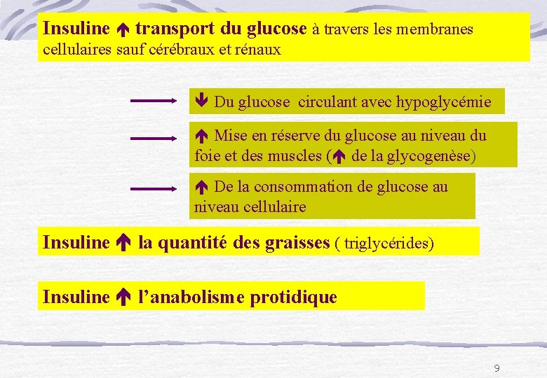 Insuline transport du glucose à travers les membranes cellulaires sauf cérébraux et rénaux Du