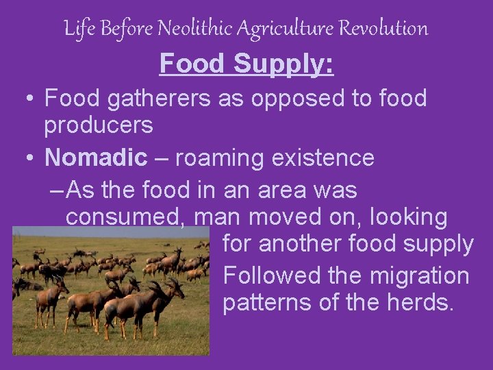 Life Before Neolithic Agriculture Revolution Food Supply: • Food gatherers as opposed to food