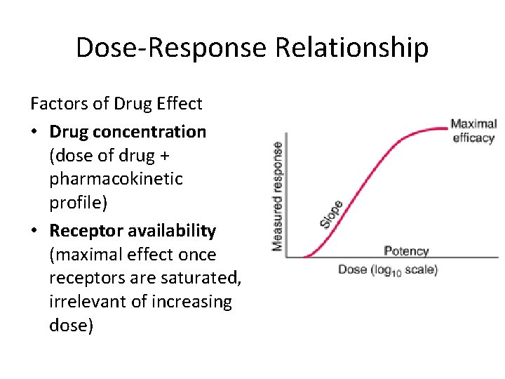 Dose-Response Relationship Factors of Drug Effect • Drug concentration (dose of drug + pharmacokinetic