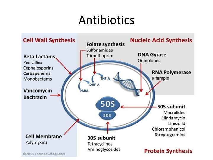 Antibiotics 