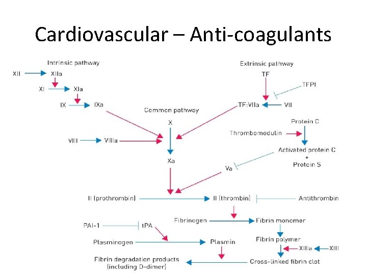 Cardiovascular – Anti-coagulants 