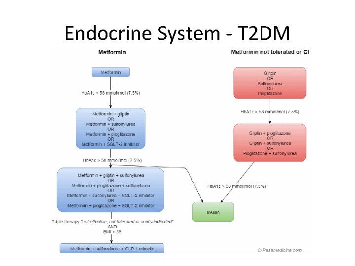 Endocrine System - T 2 DM 