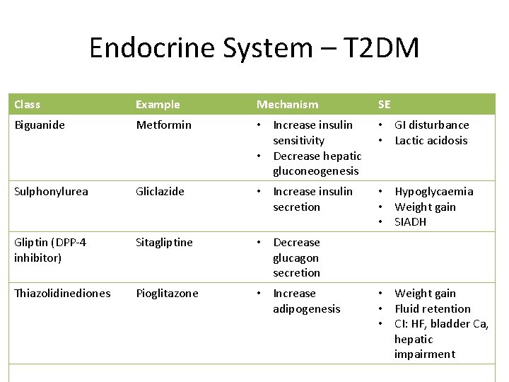 Endocrine System – T 2 DM Class Example Mechanism SE Biguanide Metformin • Increase