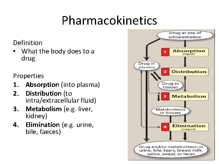 Pharmacokinetics Definition • What the body does to a drug Properties 1. Absorption (into