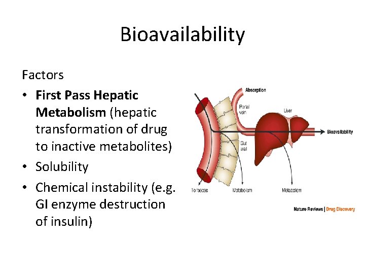 Bioavailability Factors • First Pass Hepatic Metabolism (hepatic transformation of drug to inactive metabolites)