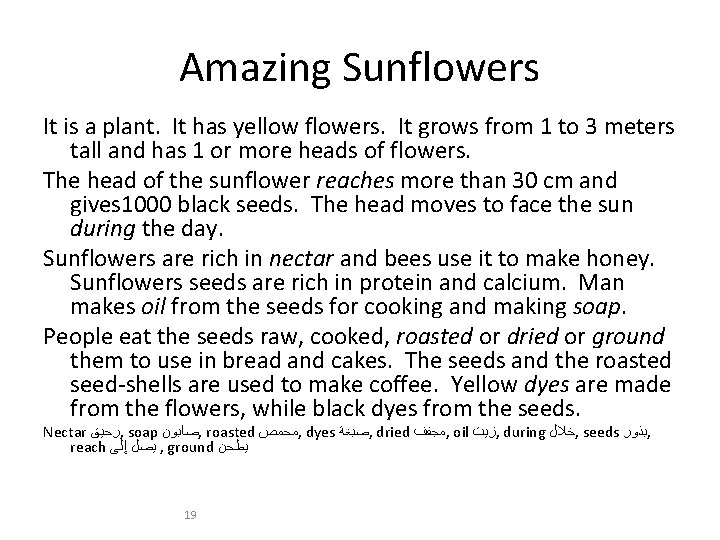 Amazing Sunflowers It is a plant. It has yellow flowers. It grows from 1