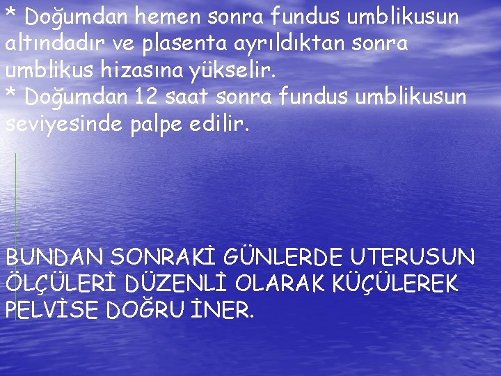* Doğumdan hemen sonra fundus umblikusun altındadır ve plasenta ayrıldıktan sonra umblikus hizasına yükselir.