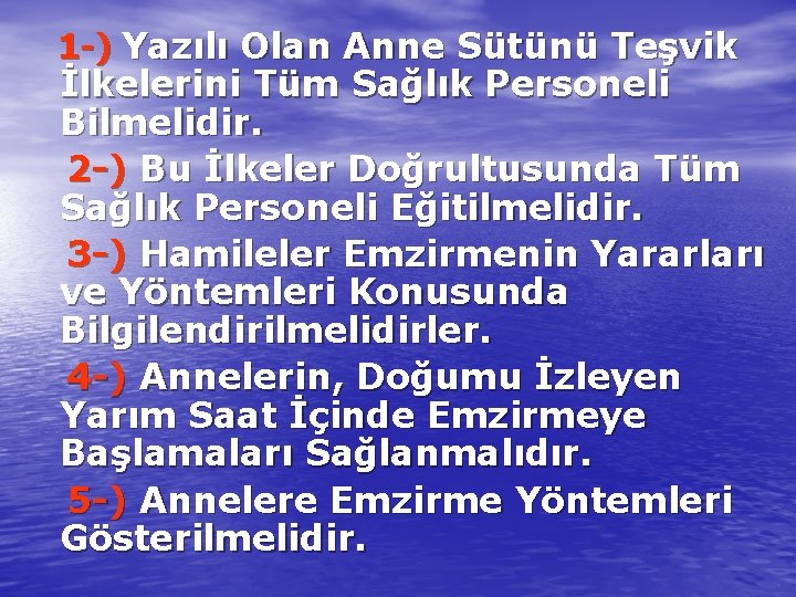 1 -) Yazılı Olan Anne Sütünü Teşvik İlkelerini Tüm Sağlık Personeli Bilmelidir. 2 -)