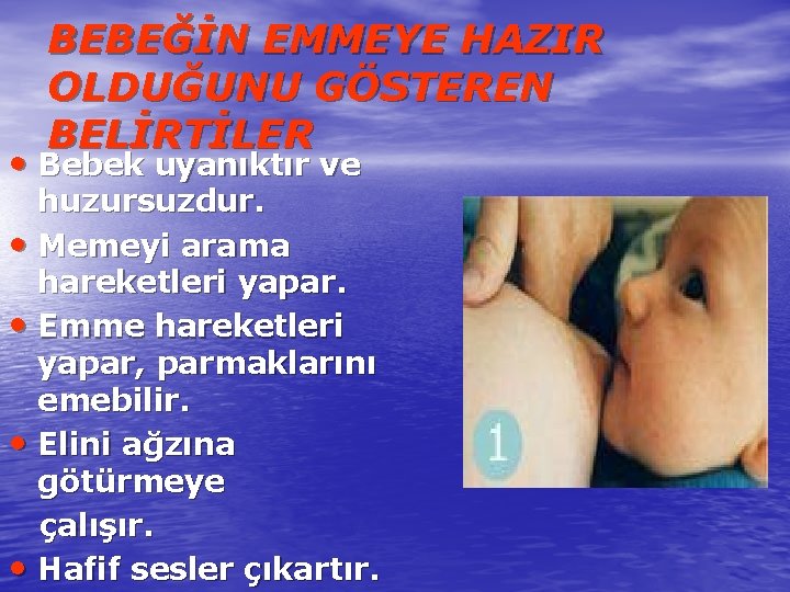 BEBEĞİN EMMEYE HAZIR OLDUĞUNU GÖSTEREN BELİRTİLER • Bebek uyanıktır ve huzursuzdur. • Memeyi arama