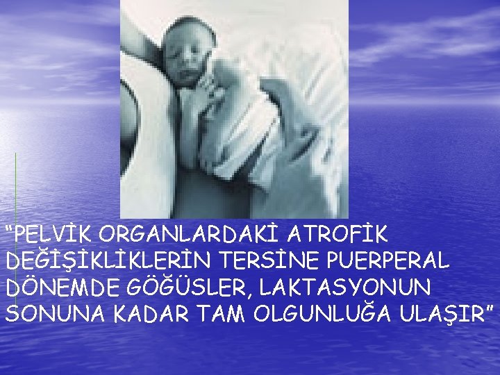 “PELVİK ORGANLARDAKİ ATROFİK DEĞİŞİKLİKLERİN TERSİNE PUERPERAL DÖNEMDE GÖĞÜSLER, LAKTASYONUN SONUNA KADAR TAM OLGUNLUĞA ULAŞIR”