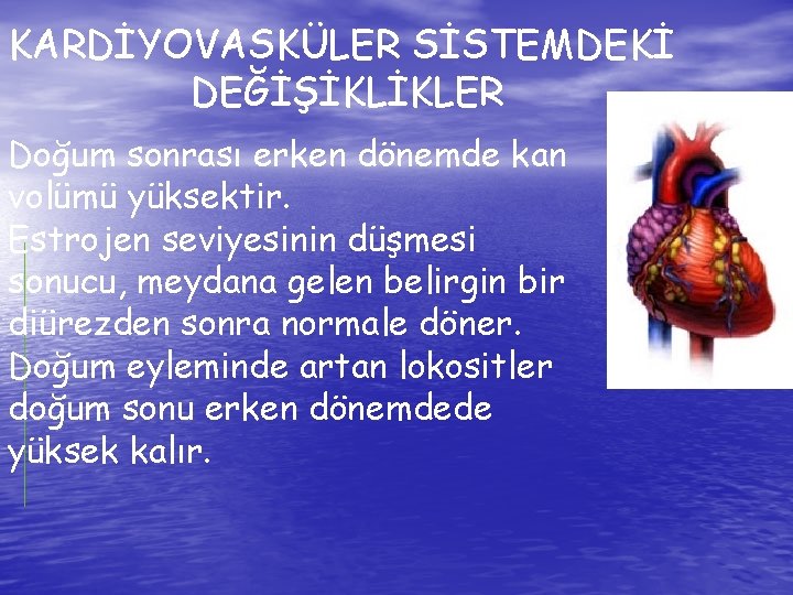KARDİYOVASKÜLER SİSTEMDEKİ DEĞİŞİKLİKLER Doğum sonrası erken dönemde kan volümü yüksektir. Estrojen seviyesinin düşmesi sonucu,