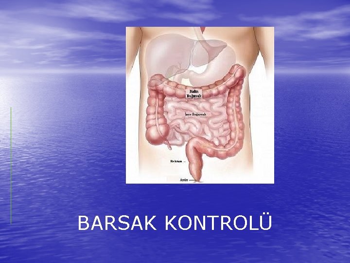 BARSAK KONTROLÜ 
