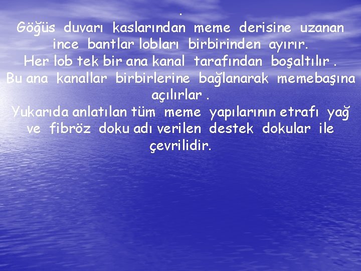 . Göğüs duvarı kaslarından meme derisine uzanan ince bantlar lobları birbirinden ayırır. Her lob