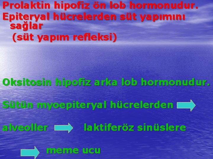 Prolaktin hipofiz ön lob hormonudur. Epiteryal hücrelerden süt yapımını sağlar (süt yapım refleksi) Oksitosin