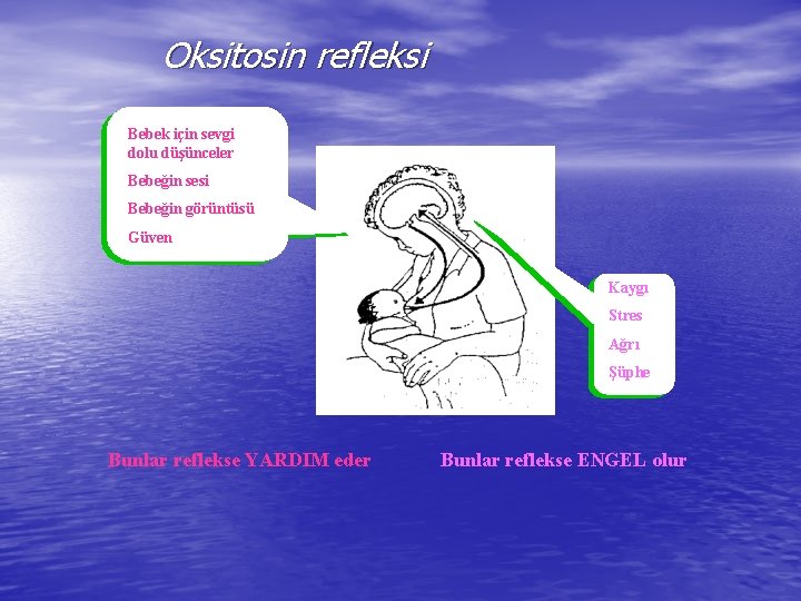 Oksitosin refleksi Bebek için sevgi dolu düşünceler Bebeğin sesi Bebeğin görüntüsü Güven Kaygı Stres