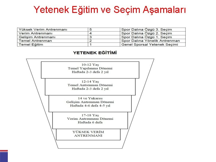 Yetenek Eğitim ve Seçim Aşamaları 