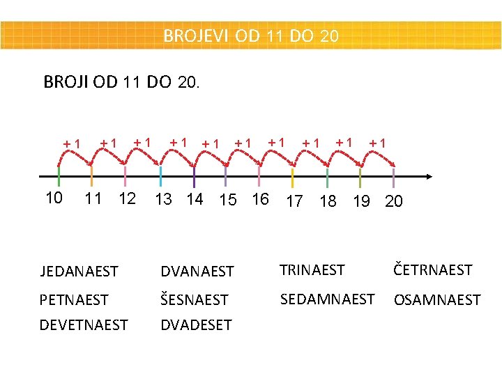 BROJEVI OD 11 DO 20 BROJI OD 11 DO 20. +1 10 +1 +1