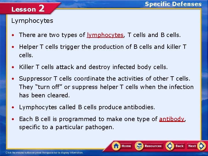 Lesson 2 Specific Defenses Lymphocytes • There are two types of lymphocytes, T cells