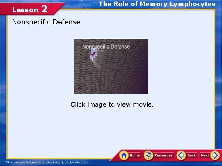 Lesson The Role of Memory Lymphocytes 2 Nonspecific Defense Click image to view movie.
