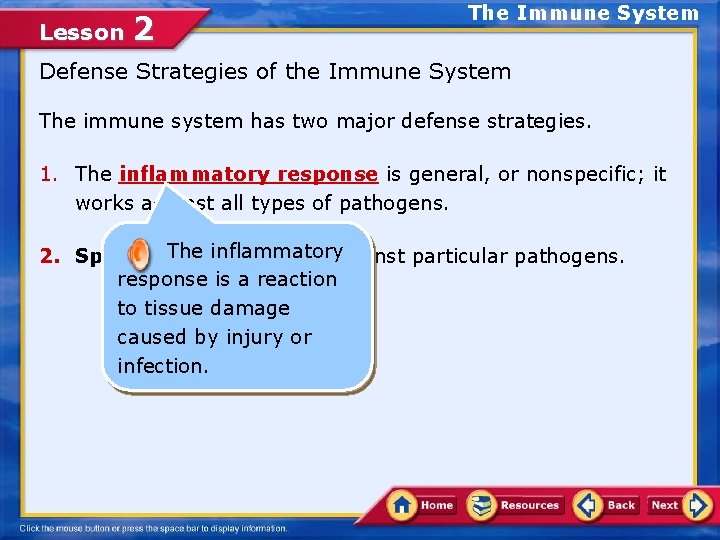 Lesson 2 The Immune System Defense Strategies of the Immune System The immune system