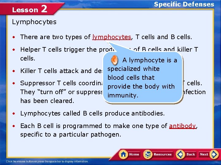 Lesson 2 Specific Defenses Lymphocytes • There are two types of lymphocytes, T cells
