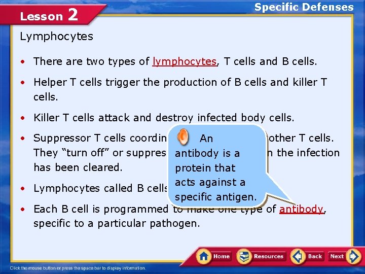 Lesson 2 Specific Defenses Lymphocytes • There are two types of lymphocytes, T cells