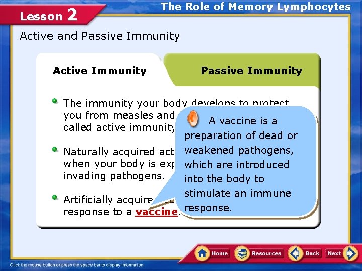 Lesson 2 The Role of Memory Lymphocytes Active and Passive Immunity Active Immunity Passive