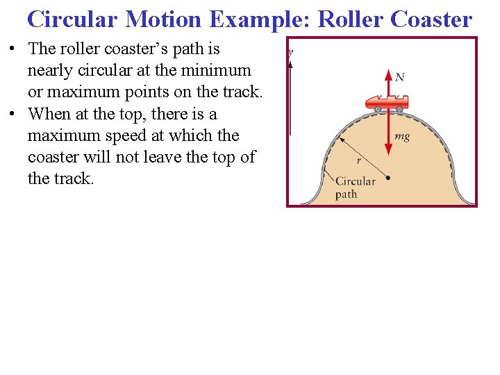 Circular Motion Example: Roller Coaster • The roller coaster’s path is nearly circular at