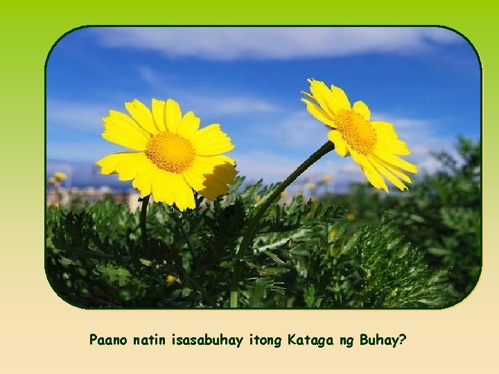 Paano natin isasabuhay itong Kataga ng Buhay? 