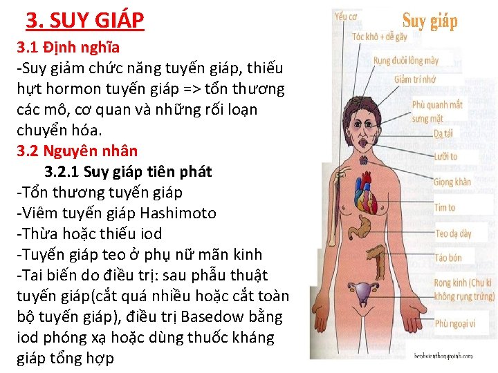 3. SUY GIÁP 3. 1 Định nghĩa -Suy giảm chức năng tuyến giáp, thiếu