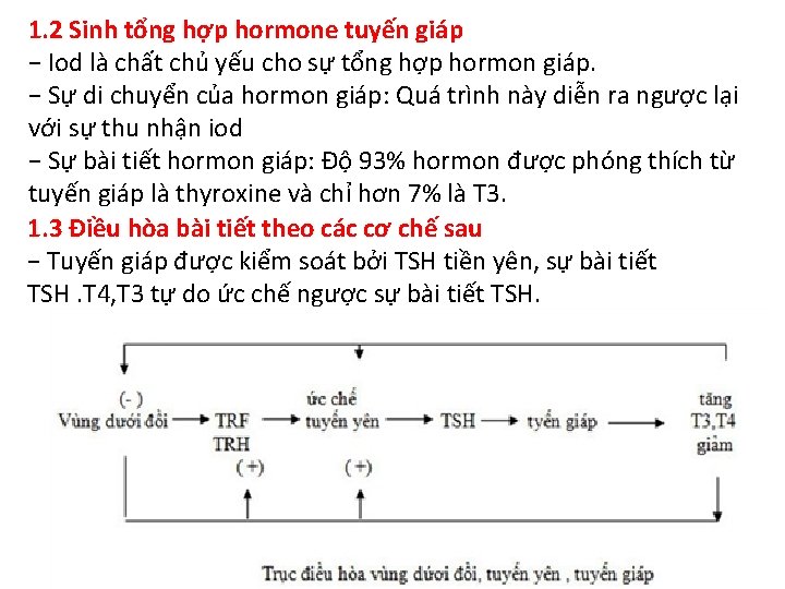 1. 2 Sinh tổng hợp hormone tuyến giáp − Iod là chất chủ yếu
