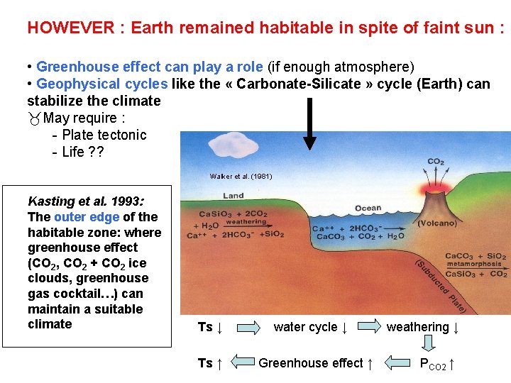 HOWEVER : Earth remained habitable in spite of faint sun : • Greenhouse effect