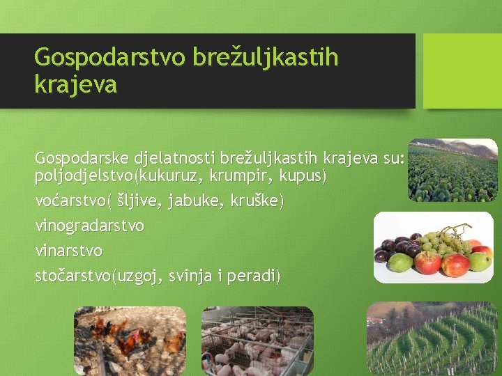 Gospodarstvo brežuljkastih krajeva Gospodarske djelatnosti brežuljkastih krajeva su: poljodjelstvo(kukuruz, krumpir, kupus) voćarstvo( šljive, jabuke,