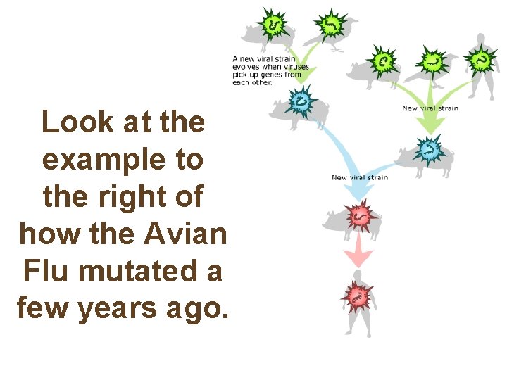 Look at the example to the right of how the Avian Flu mutated a