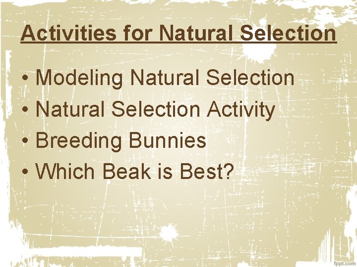 Activities for Natural Selection • Modeling Natural Selection • Natural Selection Activity • Breeding